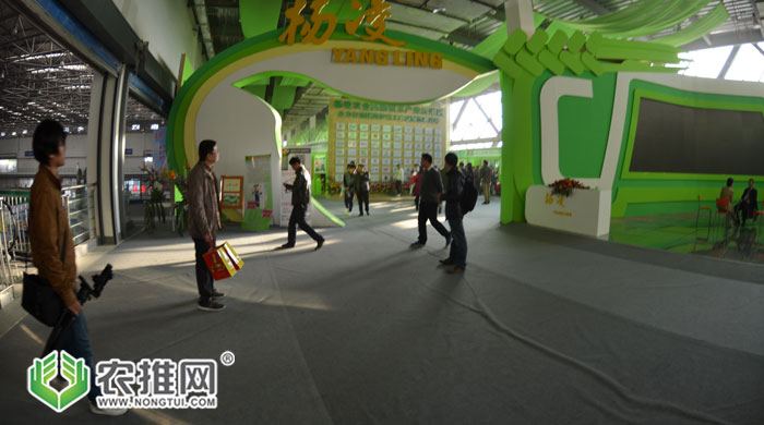 杨凌农业高新技术产业示范区展厅拍摄花絮