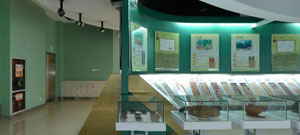 土壤博物馆的各种土壤展览